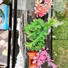 60cm水槽セットの画像