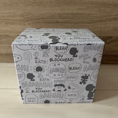 タマハシ スヌーピー 電気ケトル1.1L SN-208の画像