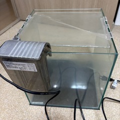 コトブキ30センチ水槽Cの画像