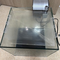 コトブキ30センチ水槽Cの画像