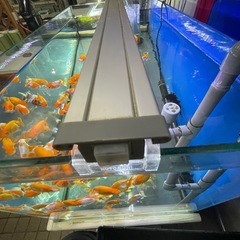 水槽90 LEDライトの画像