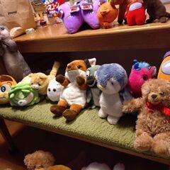 ぬいぐるみ🧸　色々の画像