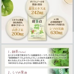 甜茶α サプリメント 120粒　甜茶アルファ　30日分の画像