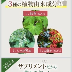 甜茶α サプリメント 120粒　甜茶アルファ　30日分の画像