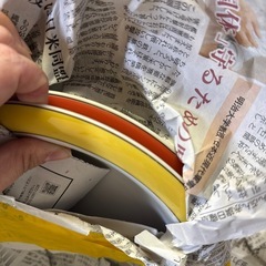 食器 パスタ皿　5枚セット　　の画像