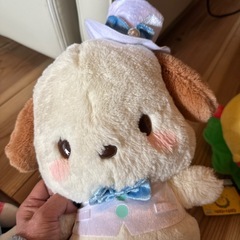 ポチャコぬいぐるみの画像