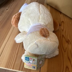 ポチャコぬいぐるみの画像