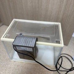 35センチ水槽の画像