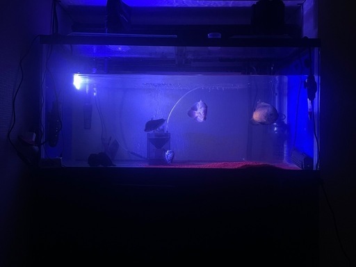 水槽セット　