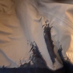 値引き可！ノースフェイスの画像