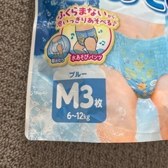 水遊びパンツ　3枚の画像