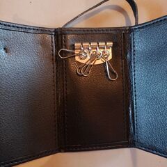 浜崎あゆみ　非売品　ファンクラブグッズ　鍵ケースの画像