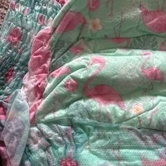 水遊びパンツ　10枚 の画像