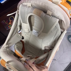 Kelty Kids Tour 1.0チャイルドキャリアの画像