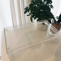 あげます　アクリル水槽 30 cmの画像