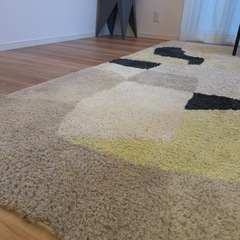 JOURNAL STANDARD FURNITURE ラグ 250cm×205cmの画像