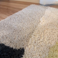 JOURNAL STANDARD FURNITURE ラグ 250cm×205cmの画像