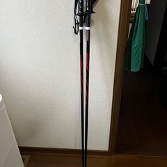 スキー　板　ストックセットの画像