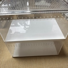 年末処分セール④ 爬虫類ケージの画像