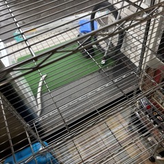 キャスター付き スチールラック 高さ155㎝×横幅74㎝×奥行34㎝の画像