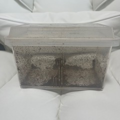 まとめ買いオッケー！大量！虫かご！格安！一個100円〜の画像