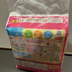 犬用おむつの画像