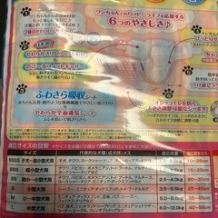 犬用おむつの画像