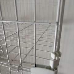 猫　ペット　ケージの画像