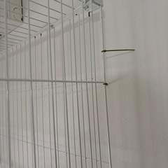 猫　ペット　ケージの画像