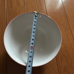 😻猫😻　ネコ柄　猫デザイン　可愛いお皿　値下げ不可の画像