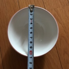 😻猫😻　ネコ柄　猫デザイン　可愛いお皿　値下げ不可の画像