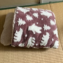 あったかペットベッドの画像