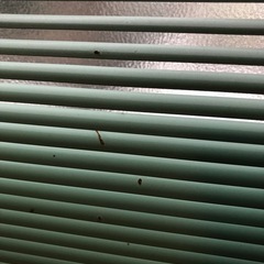 ブラインドの画像