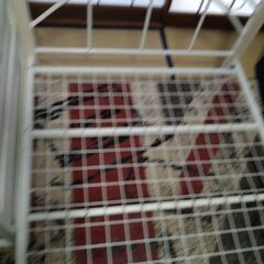 スチール製シングルベットとマットレスの画像