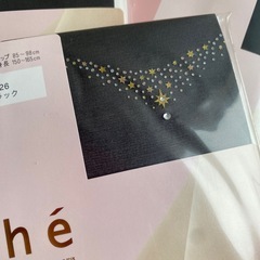 GUNZE Tuche ストッキング 左足首アンクレット柄　M〜L ブラックの画像