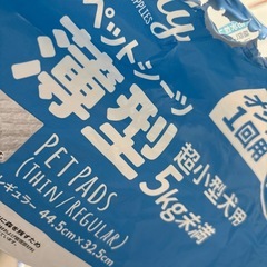 ペットシート　固定の画像