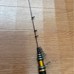 ダイワ　磯竿:
トーナメント、リール:インパルトセット販売の画像