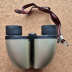 美品　ナシカ　双眼鏡　8x21　CR-IRの画像