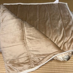 毛布・肌掛け2枚セットの画像