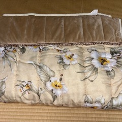 毛布・肌掛け2枚セットの画像