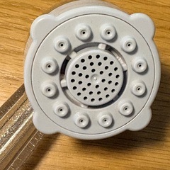 ミラブルシャワーヘッドの画像