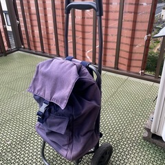 買い物カート　ショッピングカート　軽量　差し上げます！の画像