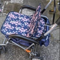 シルバカートの画像