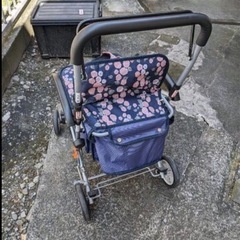 シルバカートの画像