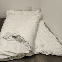 数回のみ使用 nishikawa 西川 セブンデイズ 掛け布団 シングル ホワイト SEVENDAYS AB07660580Wの画像