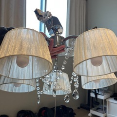 ニトリの照明いの画像