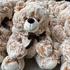 ぬいぐるみ　ミルクティー　ふわふわ　新品 30点　の画像