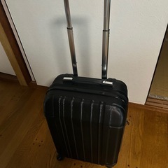 難アリ キャリーケースの画像