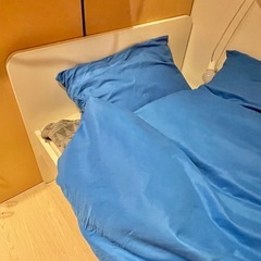 IKEA 伸長式ベッド　スレクトの画像