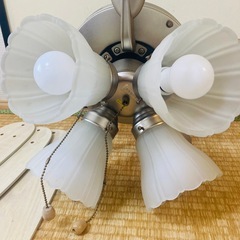 シーリングファンライトの画像